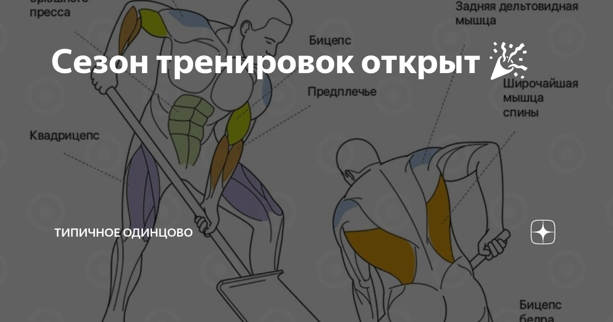Какие мышцы работают при чистке снега. Какие мышцы работают при уборке снега. какие мышцы работают при уборке.