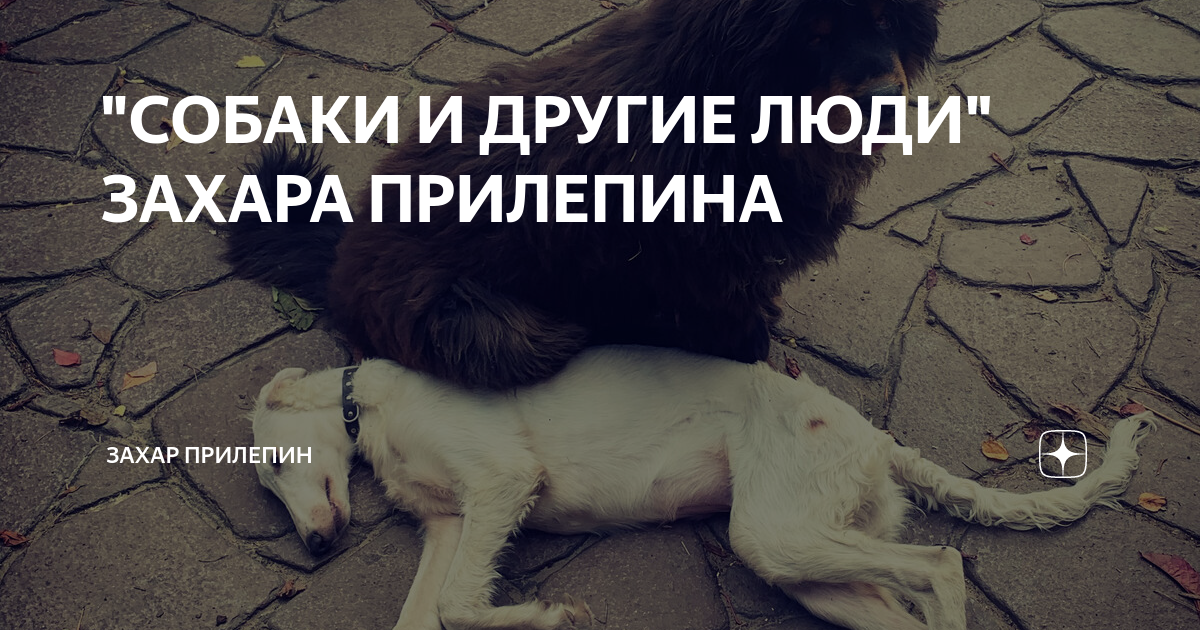 "СОБАКИ И ДРУГИЕ ЛЮДИ" ЗАХАРА ПРИЛЕПИНА | Захар Прилепин | Дзен