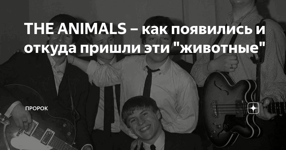 про животных адми