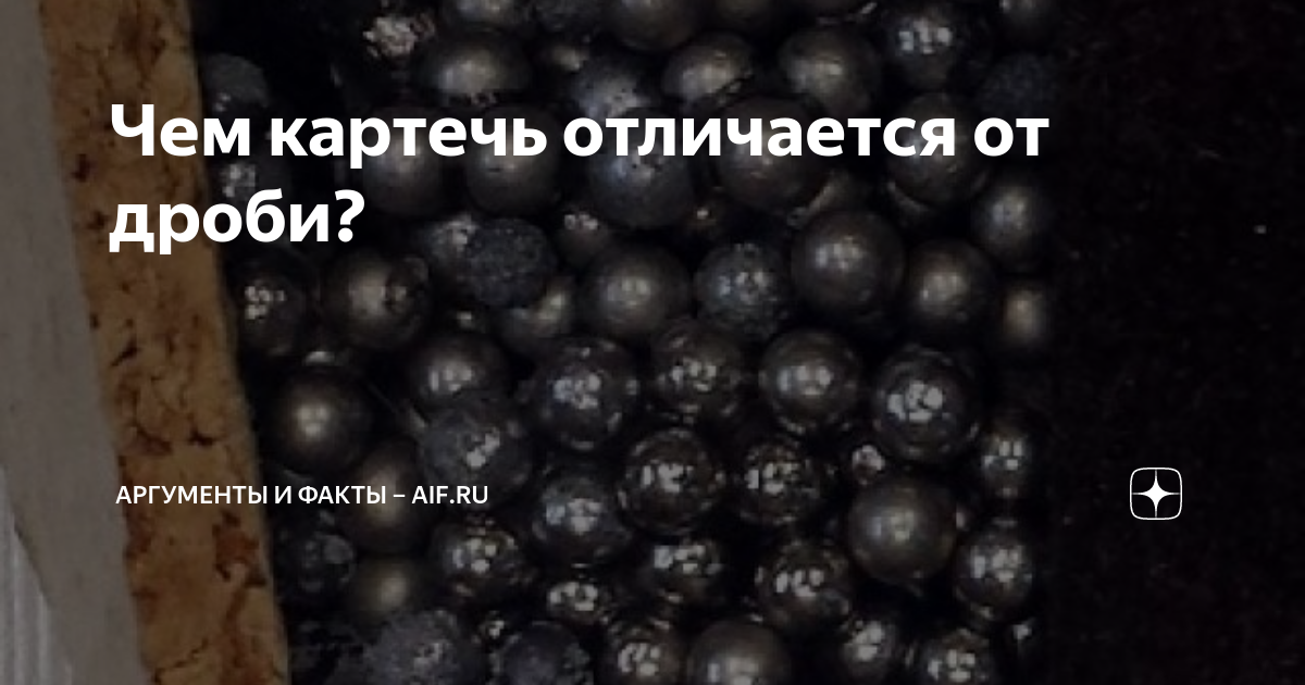 Чем картечь отличается от дроби? | Аргументы и факты – aif.ru | Дзен