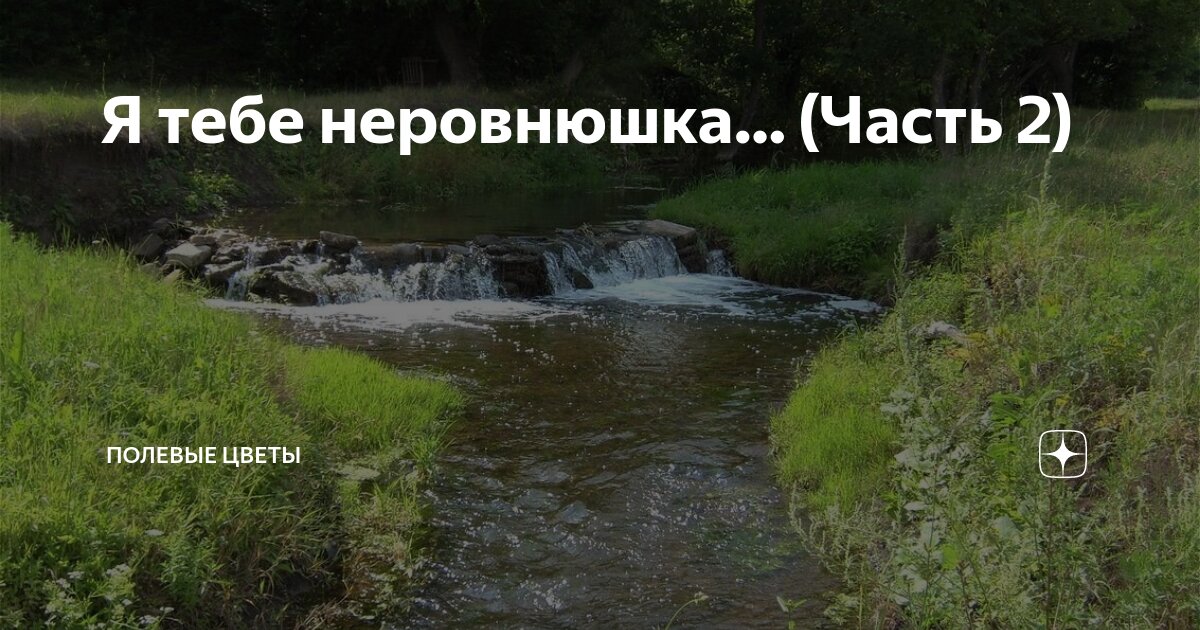 Я тебе неровнюшка… (Часть 2) | Полевые цветы | Дзен