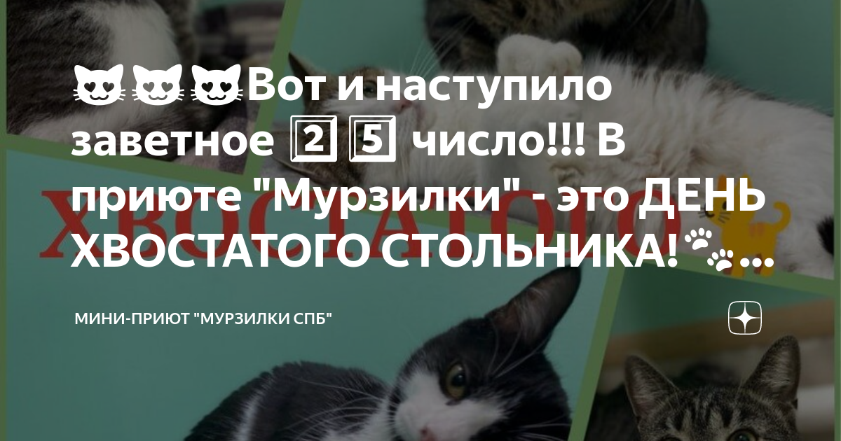 ??????Вот и наступило заветное 2??5?? число!!! В приюте "Мурзилки" - это ...