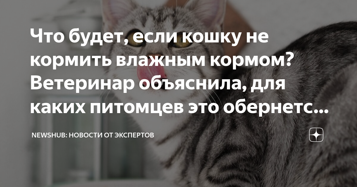 Профилактика и лечение