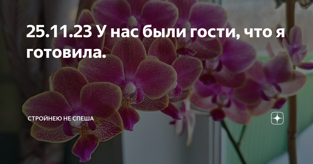 25.11.23 У нас были гости, что я готовила. | Стройнею не спеша | Дзен