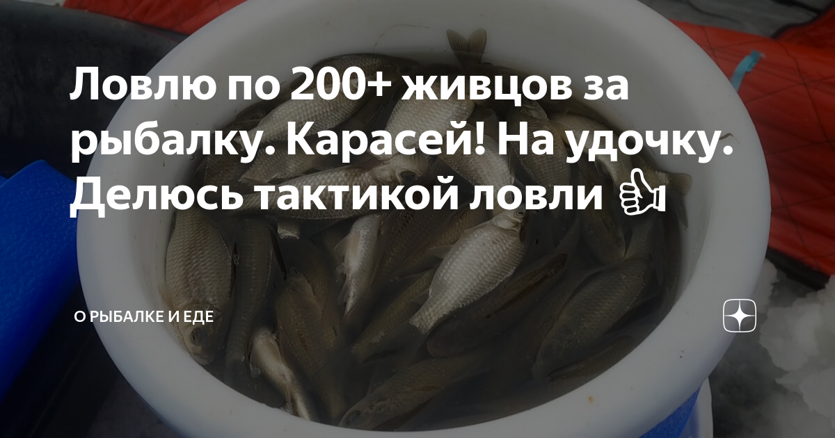 Ловлю по 200+ живцов за рыбалку. Карасей! На удочку. Делюсь тактикой ...