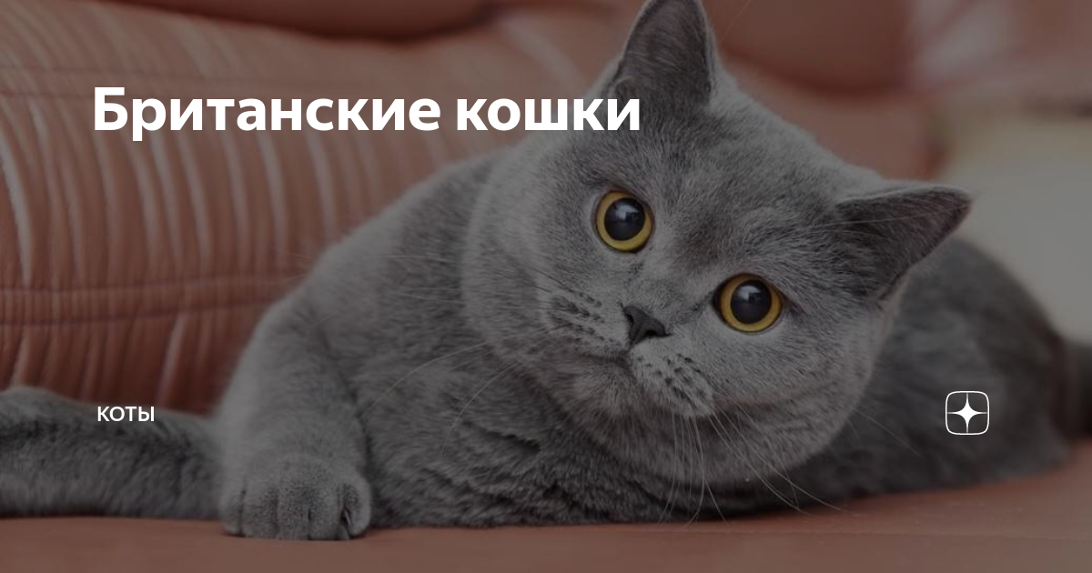 3. Разделенное питание