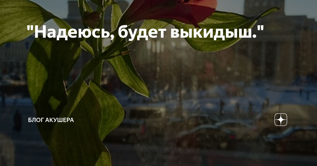 "Надеюсь, будет выкидыш." | Блог акушера | Дзен