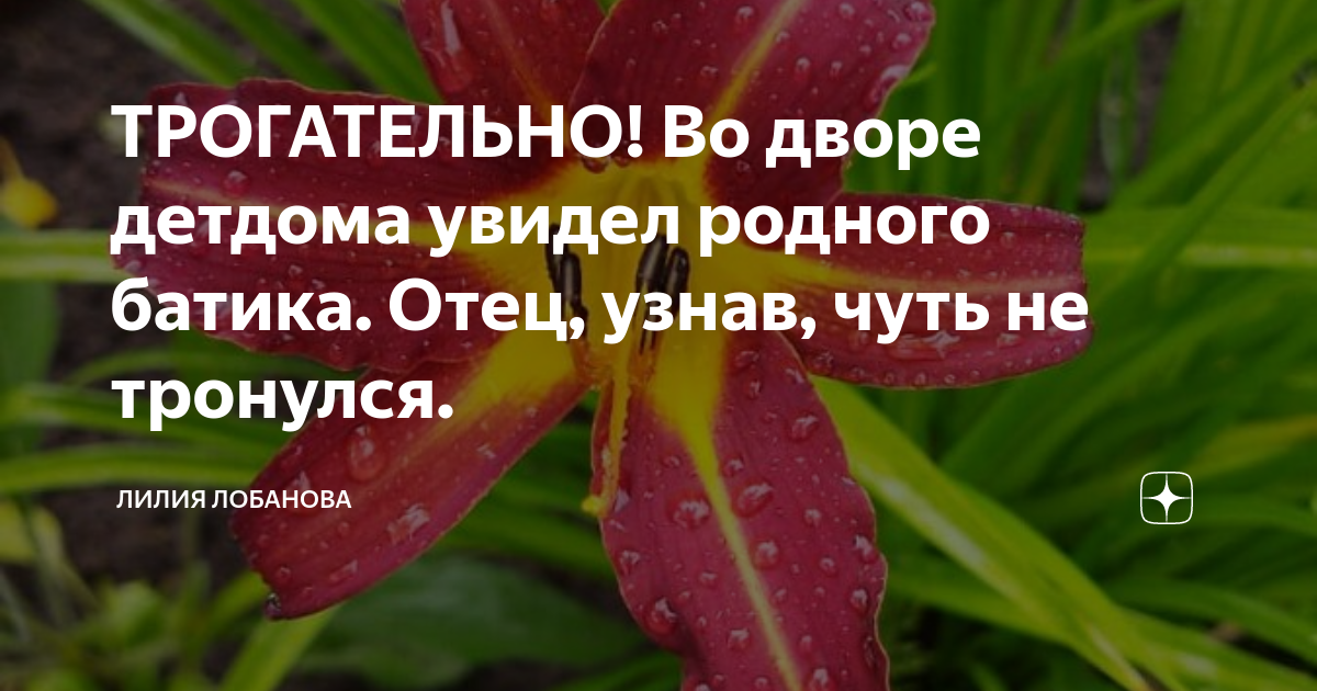 ТРОГАТЕЛЬНО! Во дворе детдома увидел родного батика. Отец, узнав, чуть ...