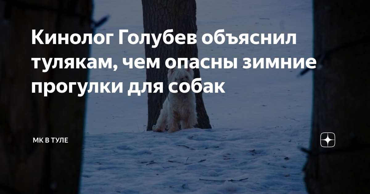 Царапины и порезы