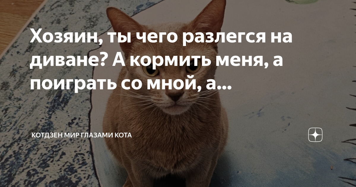 2. Регулярные приемы пищи