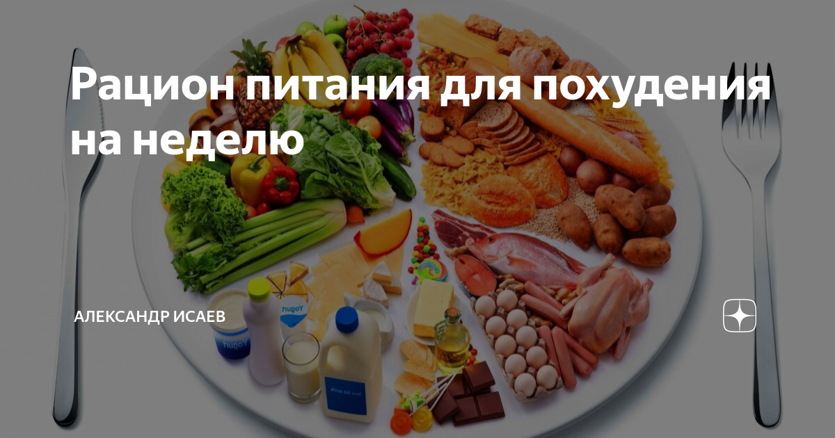 Кормление кеесхонда: правила составления рациона и сбалансированного питания