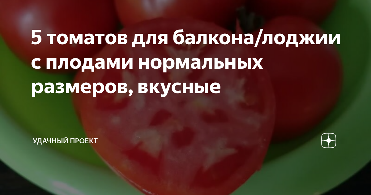 5 томатов для балкона/лоджии с плодами нормальных размеров, вкусные ...