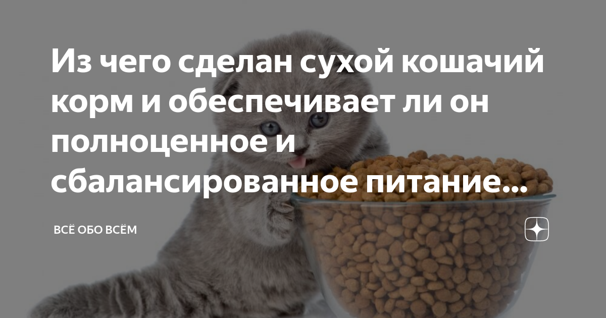 Роль злаков в здоровом пищевом режиме кошек