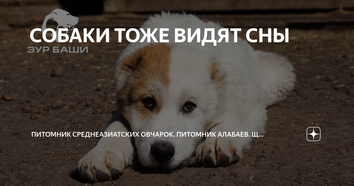 4. Безопасность места