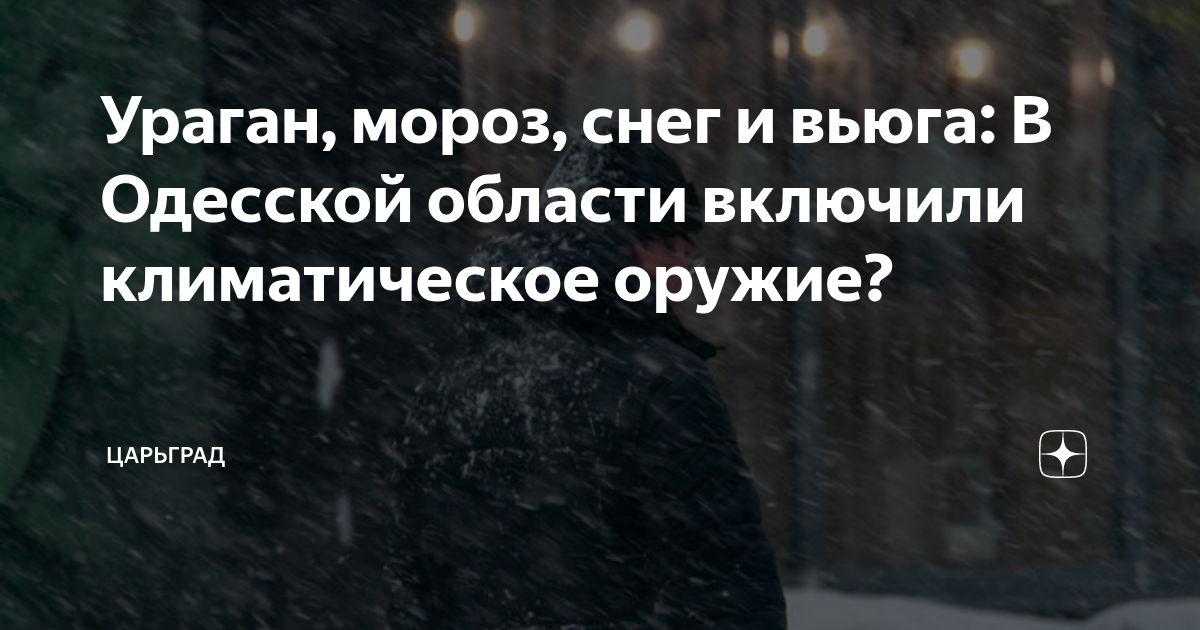 вьюга снег и мороз текст