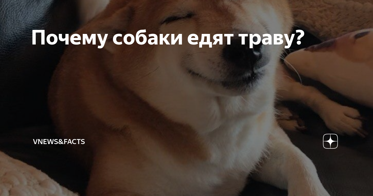 3. Качество пищи