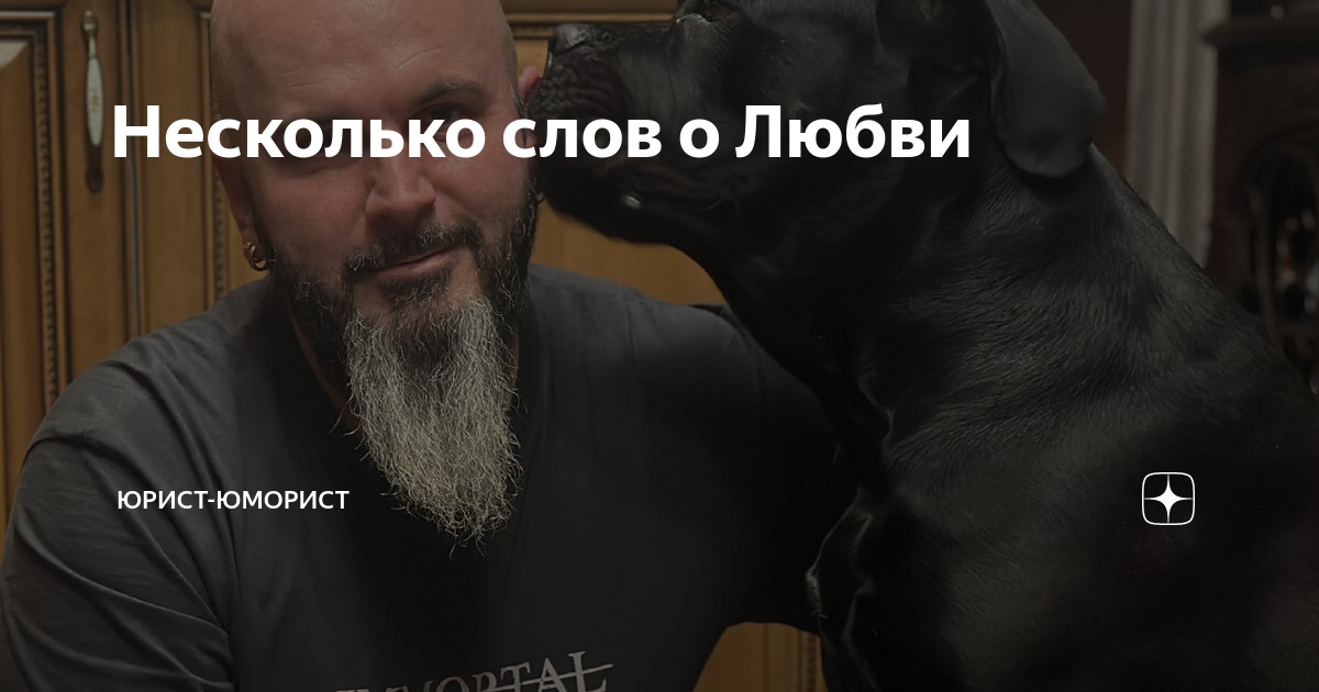 Несколько слов о Любви | Юрист-юморист | Дзен