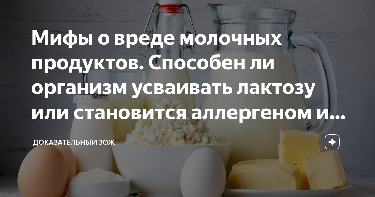 Миф про вред молочных продуктов. Вред молочных продуктов.