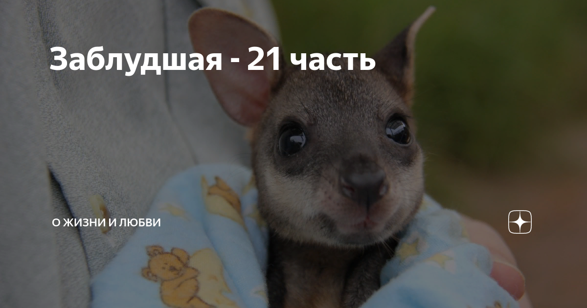 Заблудшая - 21 часть | О жизни и любви | Дзен