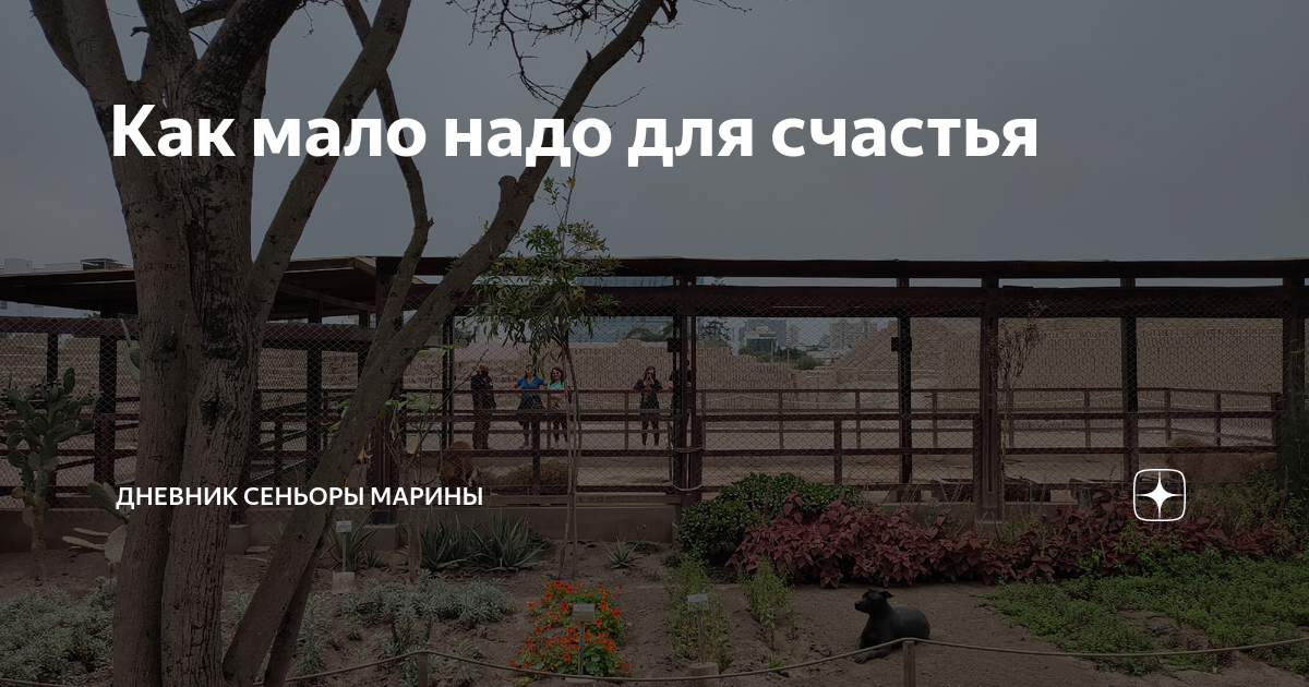 Дневник сеньоры марии дзен. Будни сеньоры марины.