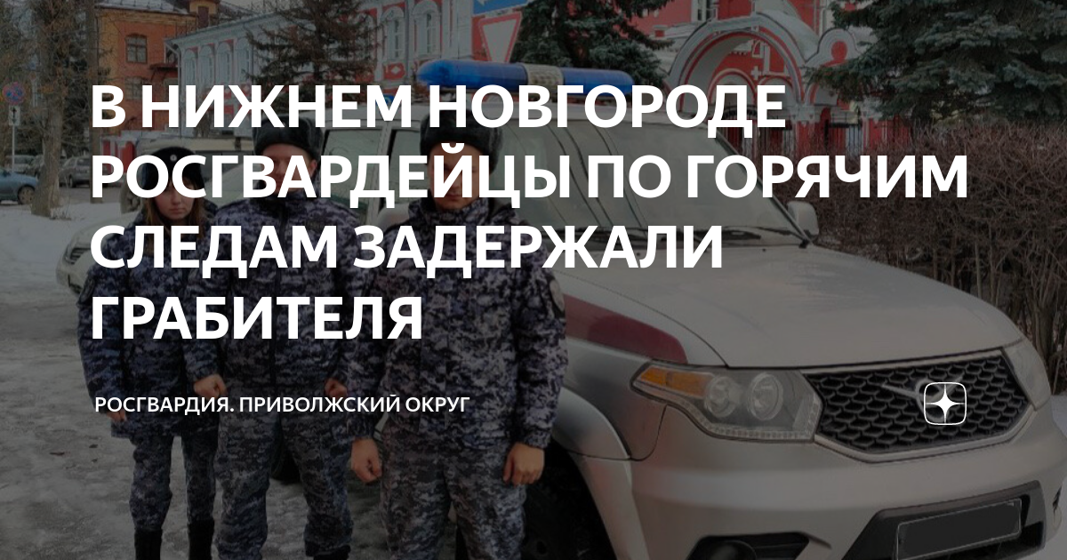 В НИЖНЕМ НОВГОРОДЕ РОСГВАРДЕЙЦЫ ПО ГОРЯЧИМ СЛЕДАМ ЗАДЕРЖАЛИ ГРАБИТЕЛЯ