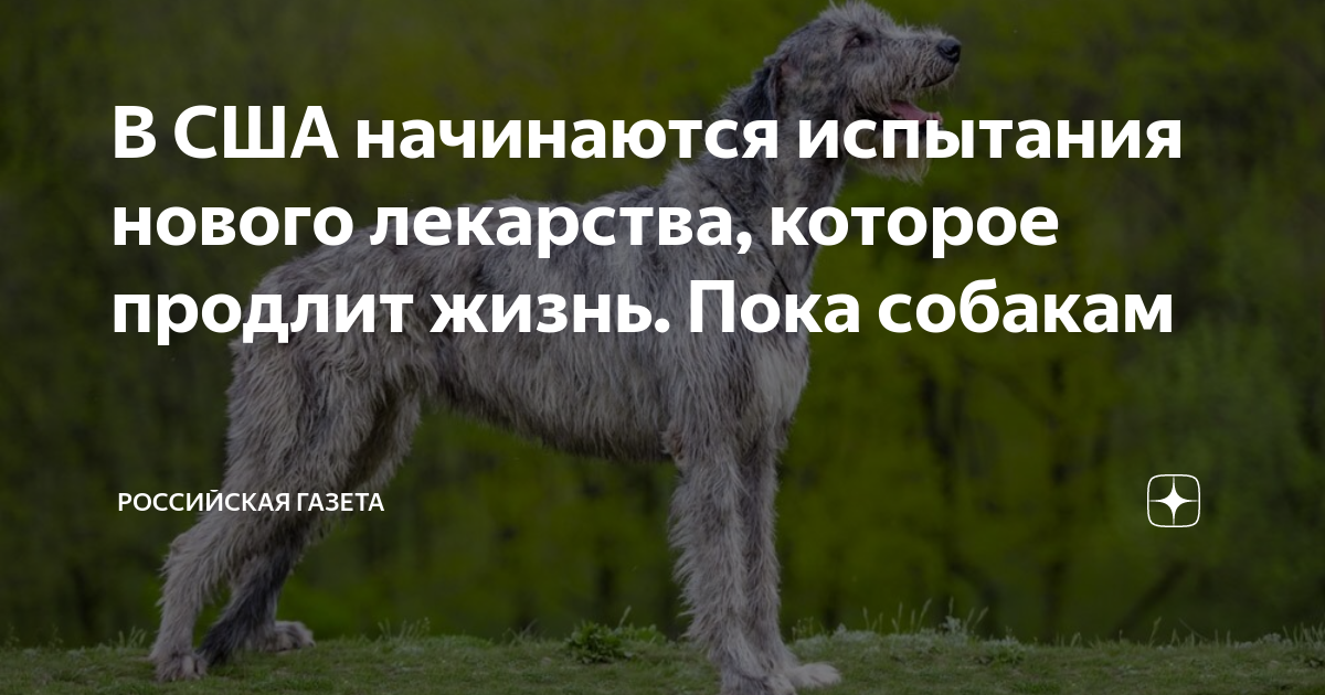 Понятие качества жизни: