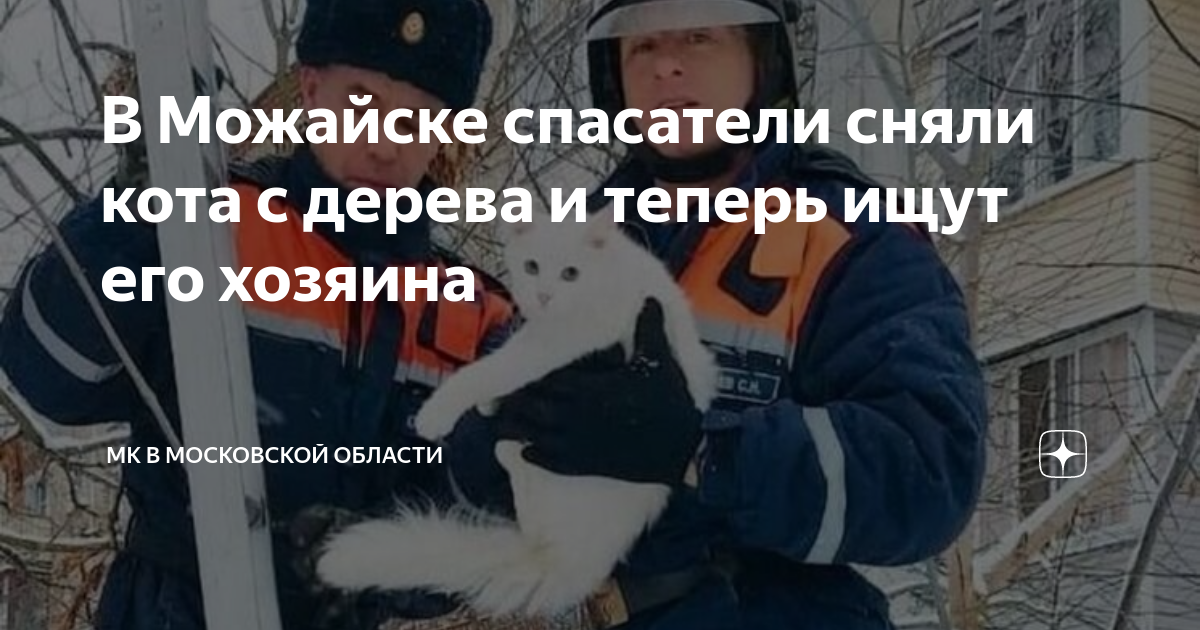 Никогда не паникуйте