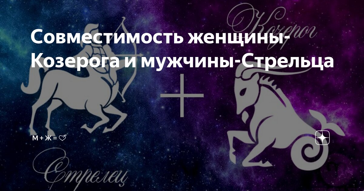 Совместимость Стрельца и Козерога: «Дельфин и русалка – не пара» или стоит пробовать?