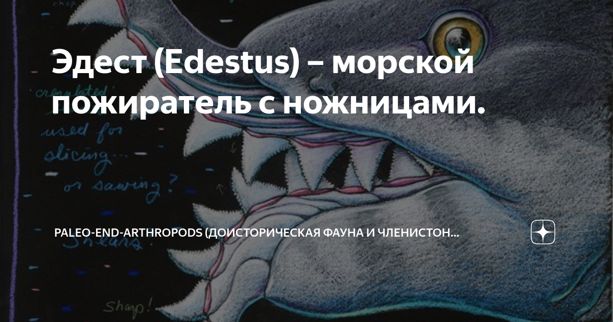 Эдест (Edestus) – морской пожиратель с ножницами. | Paleo-end ...