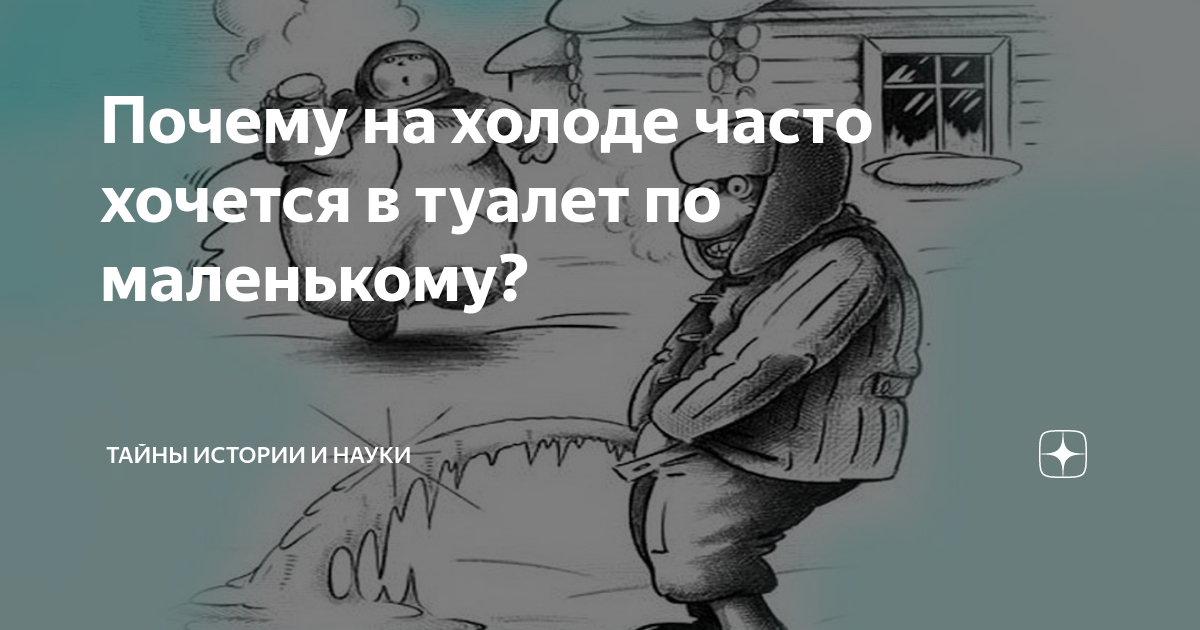 Частое мочеиспускание - причины у женщин и мужчин, виды