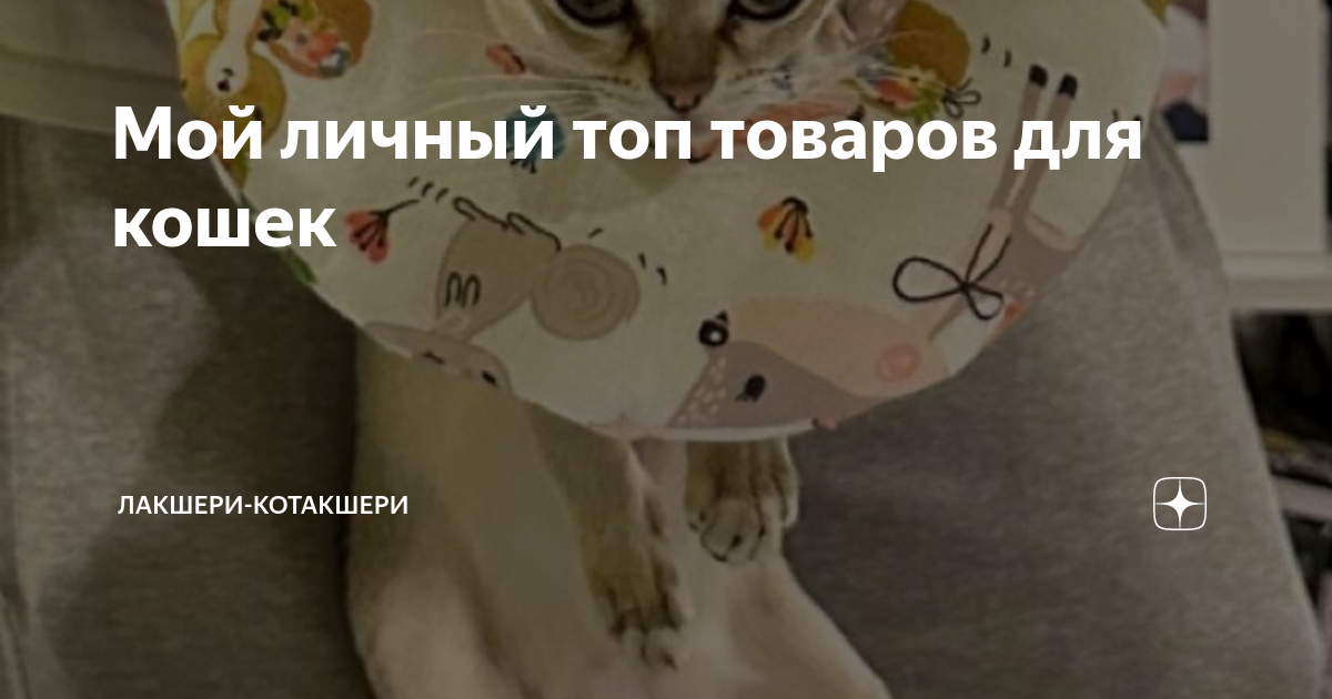 Мой личный топ товаров для кошек | Лакшери-Котакшери | Дзен