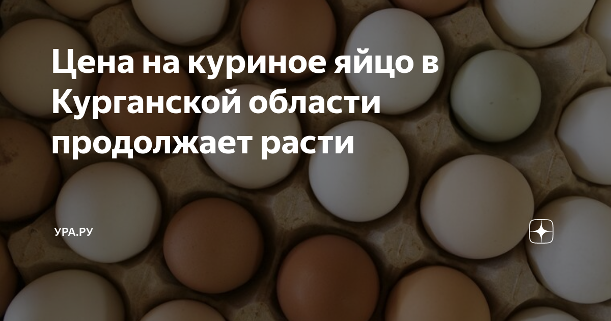 Цена на куриное яйцо в Курганской области продолжает расти | УРА.РУ | Дзен