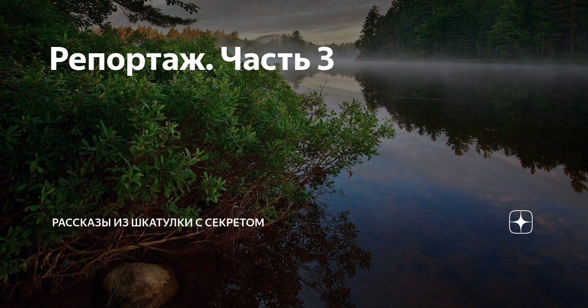 Репортаж. Часть 3 | Рассказы из шкатулки с секретом | Дзен