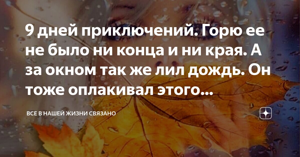 9 дней приключений. Горю ее не было ни конца и ни края. А за окном так ...