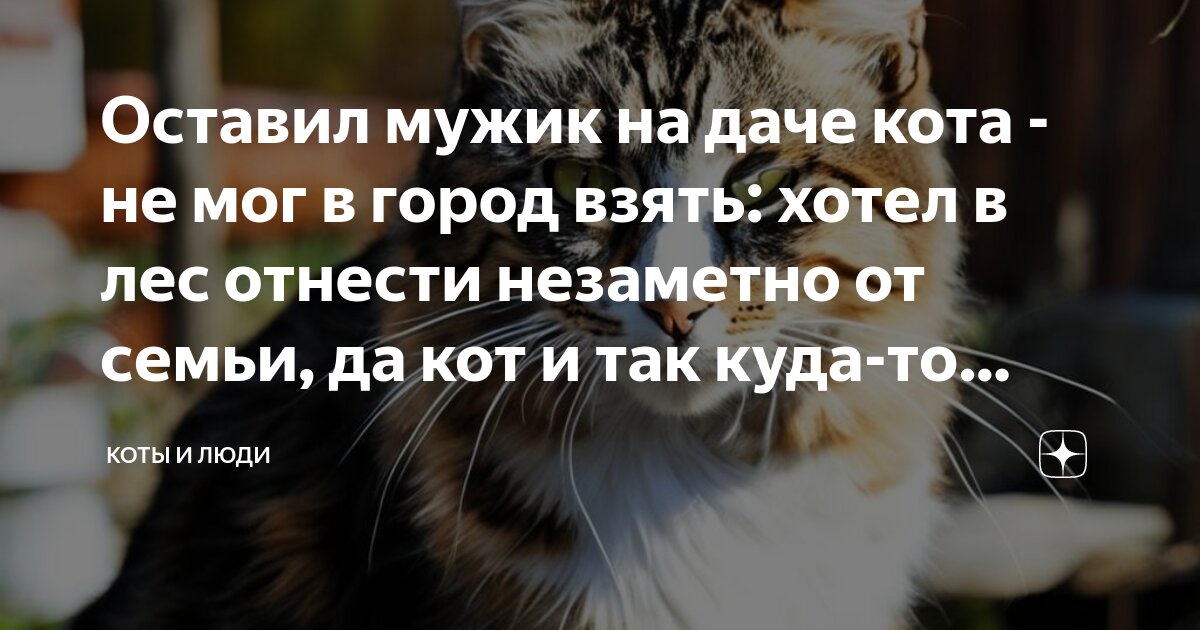 в деревню привезли кока как он себя чувствует