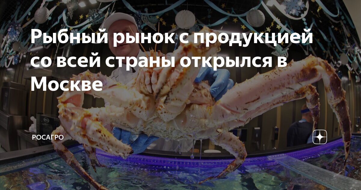 Рыбный рынок с продукцией со всей страны открылся в Москве | РосАгро | Дзен
