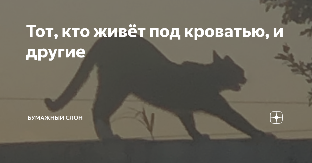 Тот, кто живёт под кроватью, и другие | Бумажный Слон | Дзен