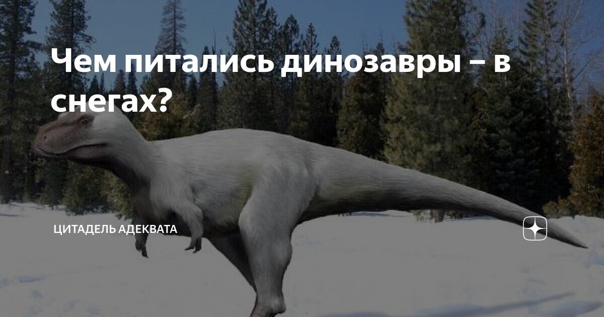 Чем питались динозавры – в снегах? | Цитадель адеквата | Дзен