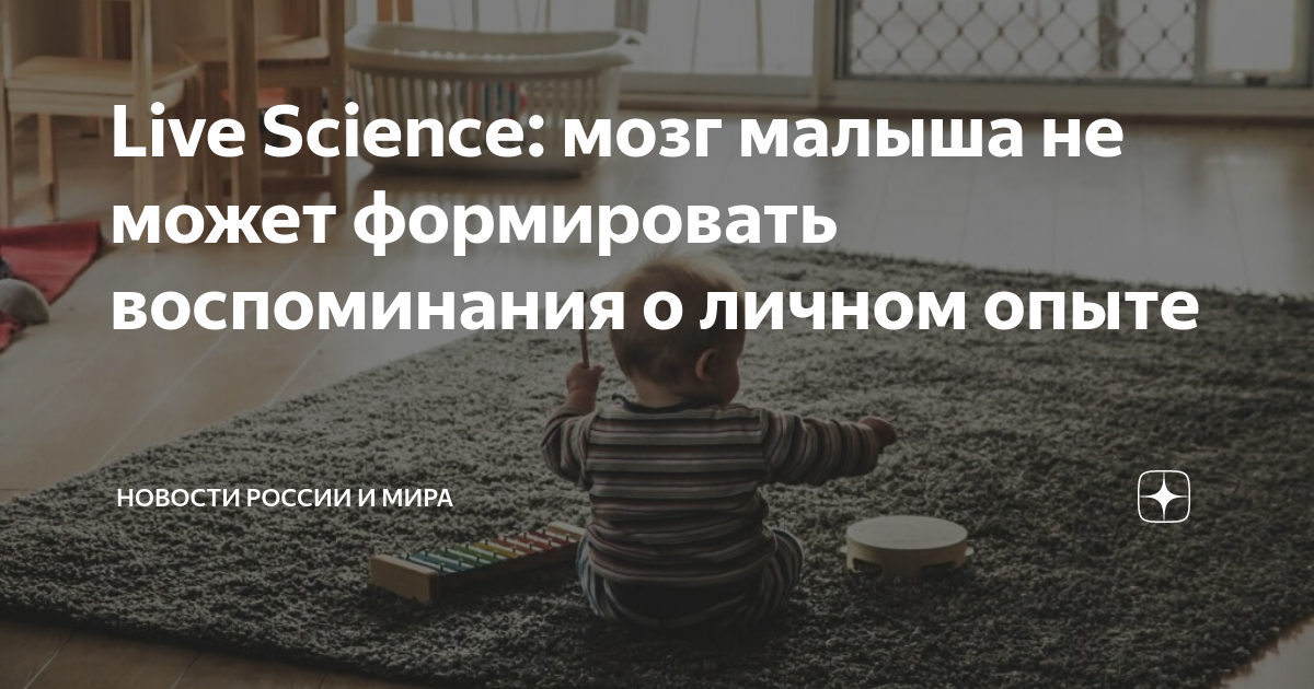 Live Science: мозг малыша не может формировать воспоминания о личном ...