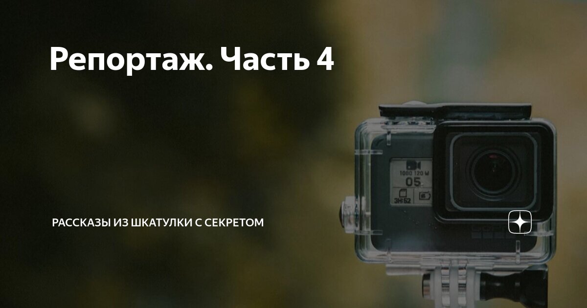 Репортаж. Часть 4 | Рассказы из шкатулки с секретом | Дзен