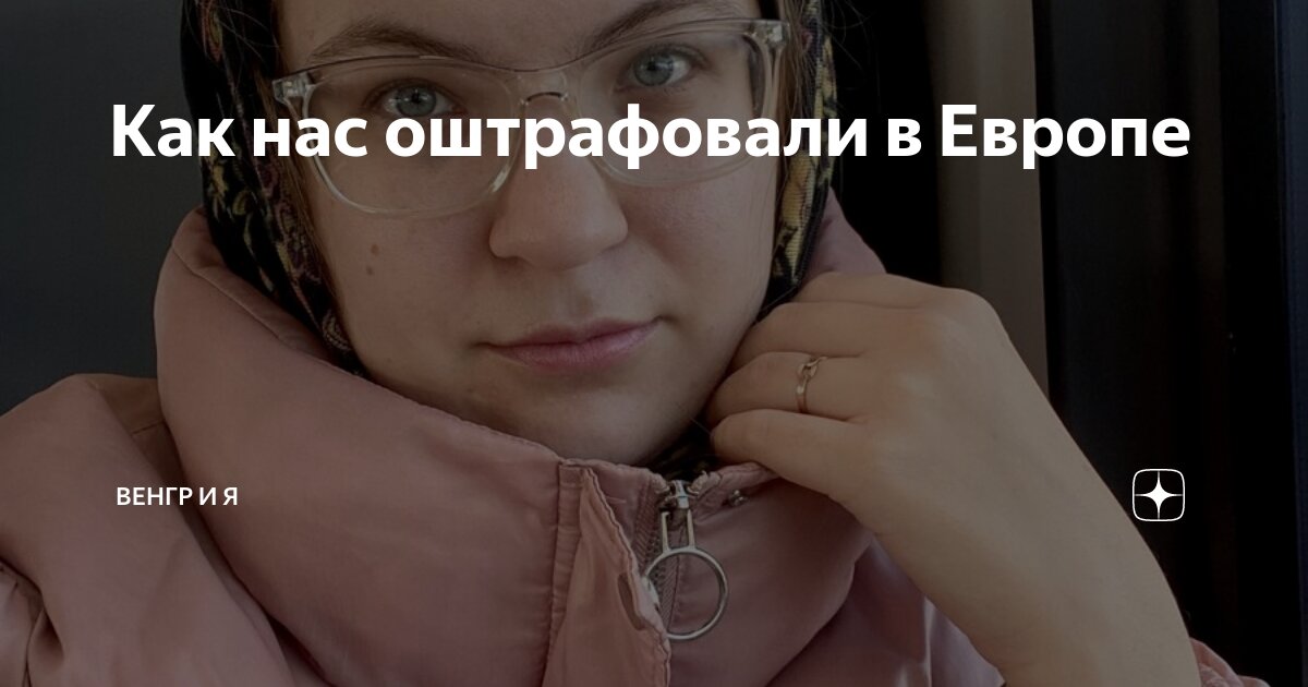 Как нас оштрафовали в Европе | Венгр и Я | Дзен