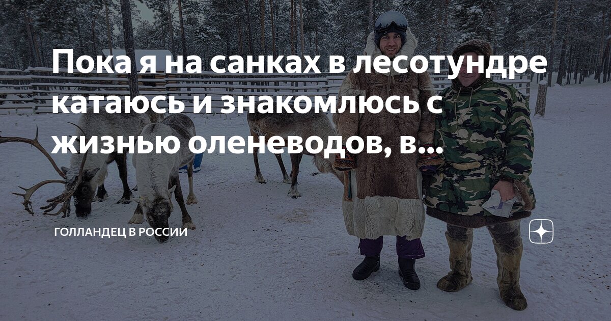 Пока я на санках в лесотундре катаюсь и знакомлюсь с жизнью оленеводов ...