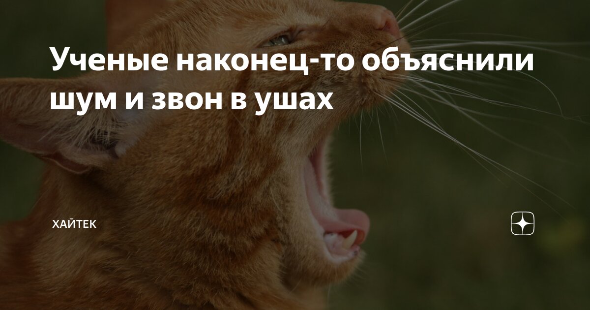 после шума звон в ушах