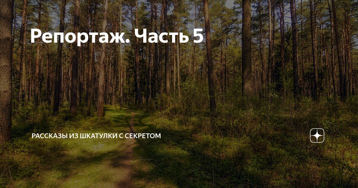 Репортаж. Часть 5 | Рассказы из шкатулки с секретом | Дзен