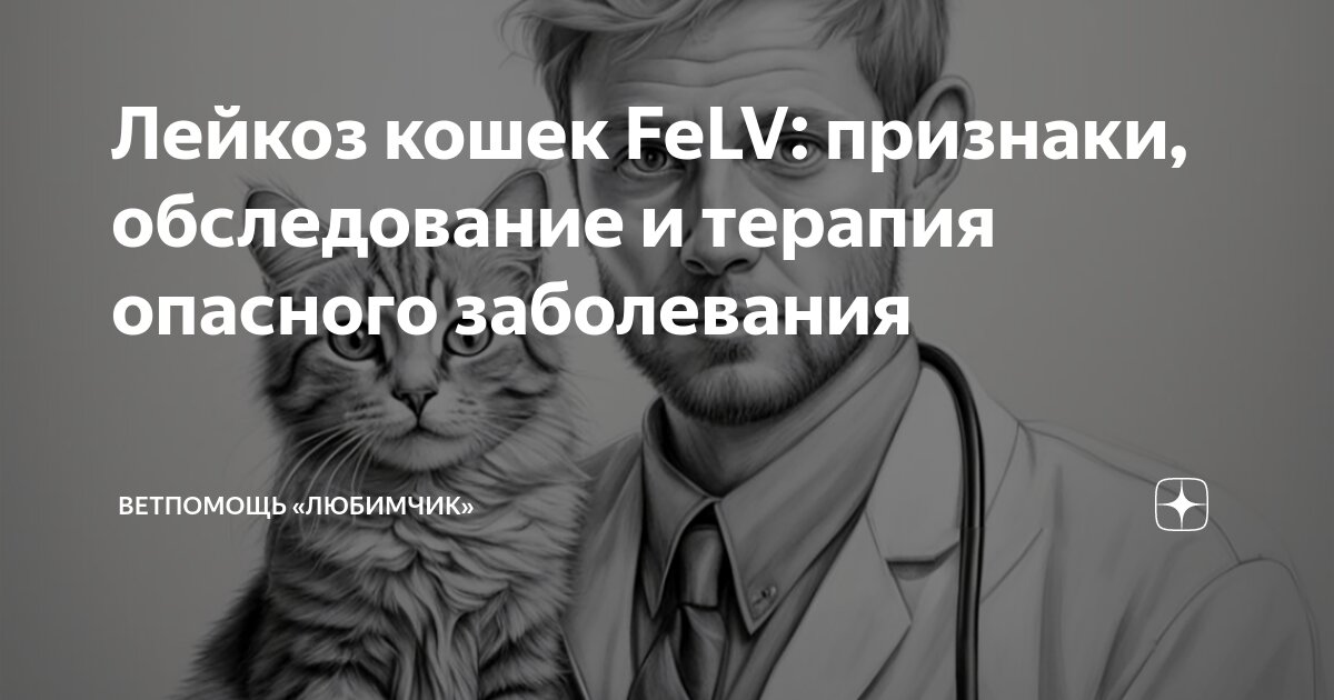 Лейкоз кошек FeLV: признаки, обследование и терапия опасного ...