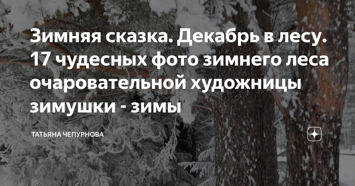 прочитайте зимой в заснеженном лесу зеленая