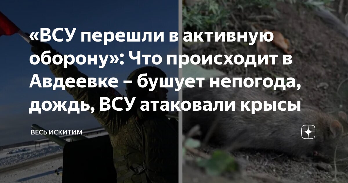 «ВСУ перешли в активную оборону»: Что происходит в Авдеевке – бушует ...