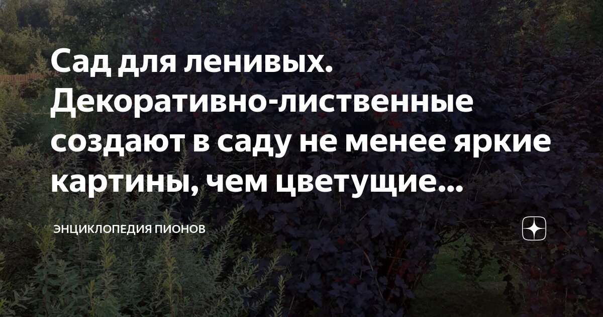 Сад для ленивых. Декоративно-лиственные создают в саду не менее яркие ...