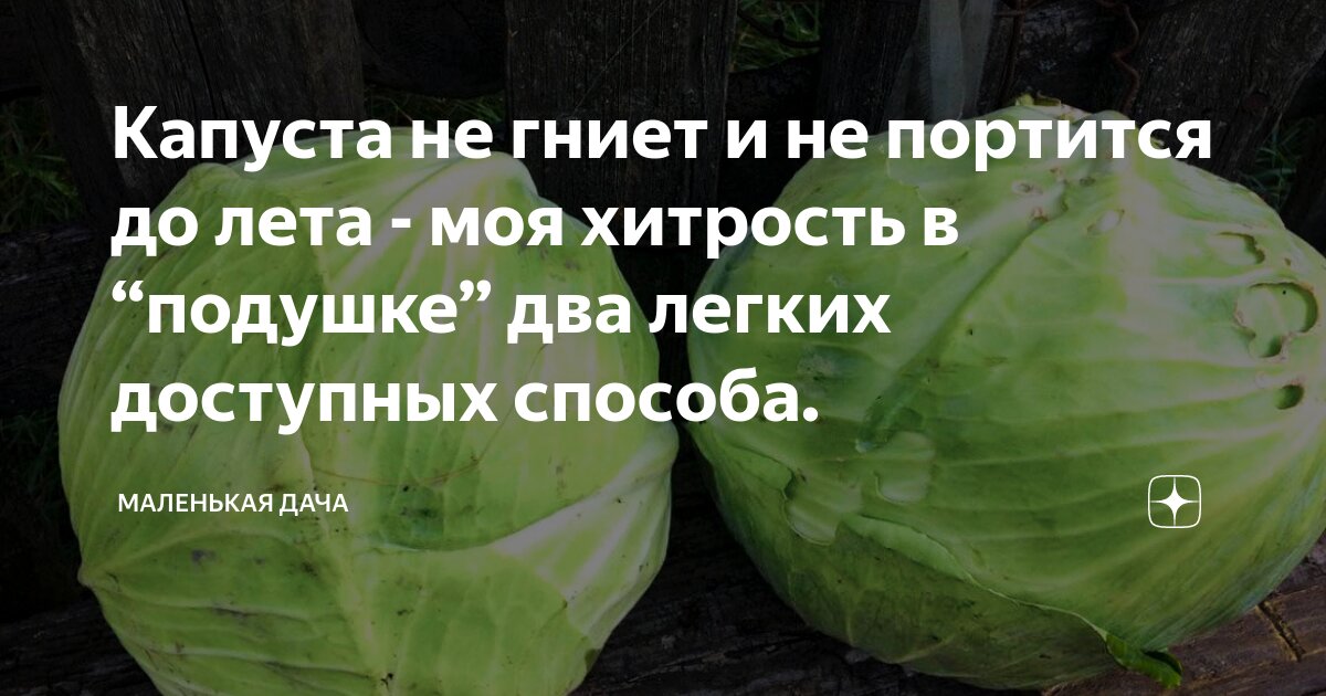 портится ли капуста в холодильнике