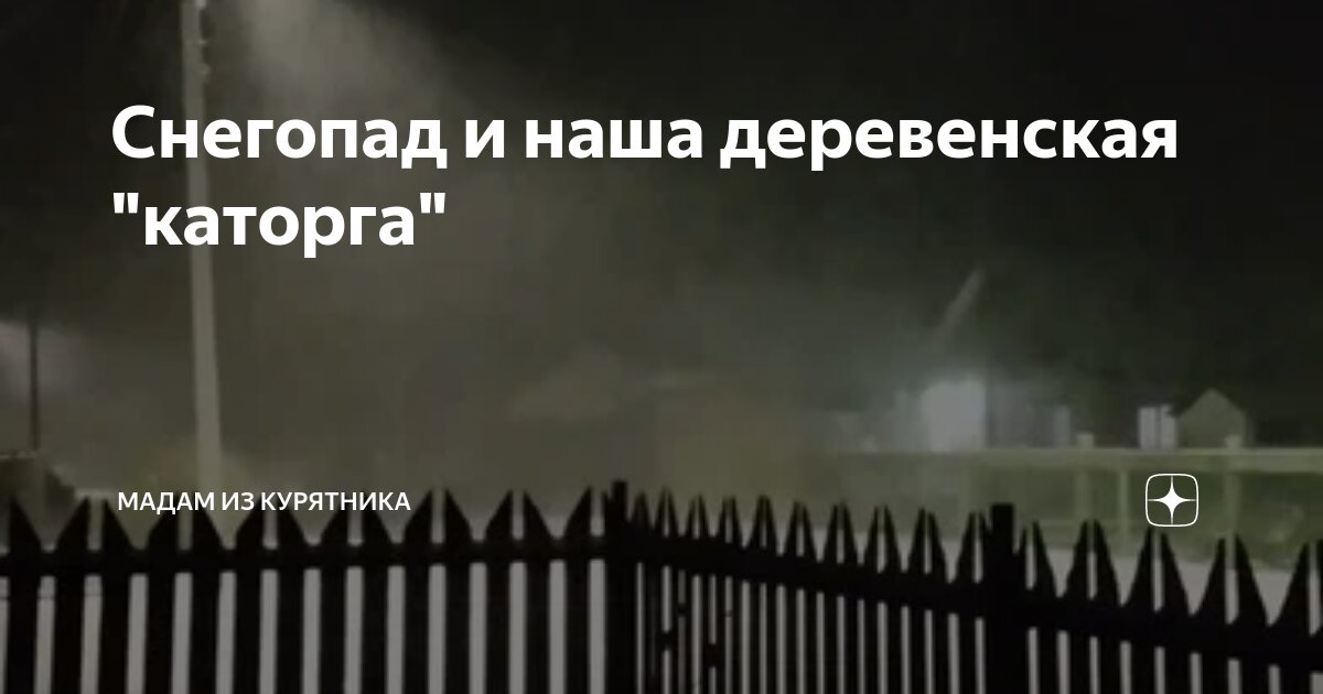 Снегопад и наша деревенская "каторга" | Мадам из курятника | Дзен